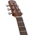 Ibanez AAM50CE - comprar online