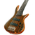 Ibanez SR1206 en internet