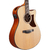 Ibanez AAM50CE en internet