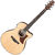Ibanez AAM50CE