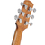 Ibanez AAM54CE en internet