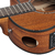Ibanez AAM54CE - tienda online