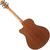 Ibanez AAM54CE - comprar online
