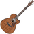 Ibanez AAM54CE