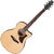 Ibanez AAM300CE