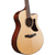 Ibanez AAM300CE en internet