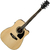Ibanez PF15ECE