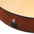 Ibanez AAM300CE