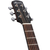 Ibanez AAM300CE - comprar online
