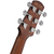 Ibanez AAM300CE en internet