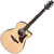 Ibanez AAM380CE