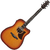 Ibanez AAD50CE en internet