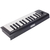 Korg microKEY-25 en internet