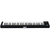 Korg microKEY Air-61 en internet