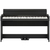 Korg C1