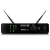 Line 6 Relay G55 en internet