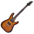 Schecter C-6 Plus