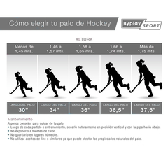 Palo De Hockey Ez Life Fibra De Vidrio Reforzado + Funda
