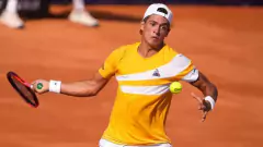 Tubo de Pelotas Wilson ultra club all court 3 Ball can - comprar online