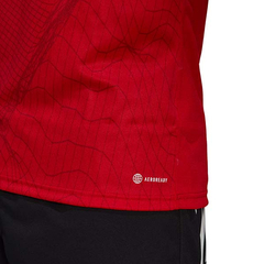 Camiseta Rugby Crusaders Home Adidas 2023 - Adulto en internet