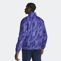 Imagen de Campera Reversible Anthem Selección Argentina Adidas 3 estrellas Adidas 2023 - Adulto