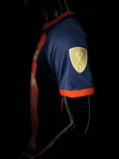 Camiseta Nike Titular San Lorenzo de Almagro Match 2024 - comprar online