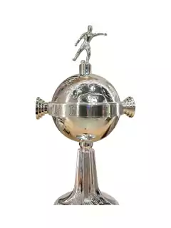 Copa Libertadores Edición Final 2024 A.Mineiro / Botafogo en internet