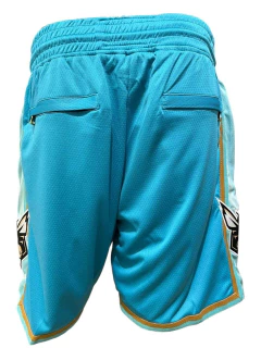 Short Basquet Charlotte Hornets "Buzz City" - NBA en internet