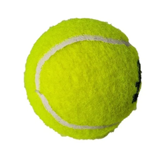 Pelotas Penn Tournament Sello Negro Tenis - Pádel en internet