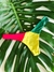 CALCINHA LEME DUPLA FACE - REGGAE / PRETO - loja online