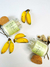 Vela Aromática de Banana na internet