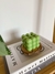 Vela Bubble Candle - Verde