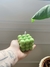Vela Bubble Candle - Verde - comprar online