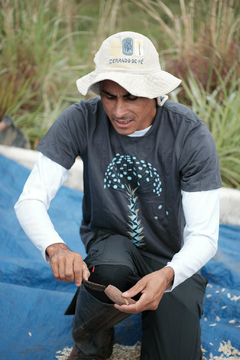 Camiseta Chuveirinho - Cerrado de Pé