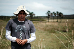 Camiseta Chuveirinho - Cerrado de Pé - comprar online