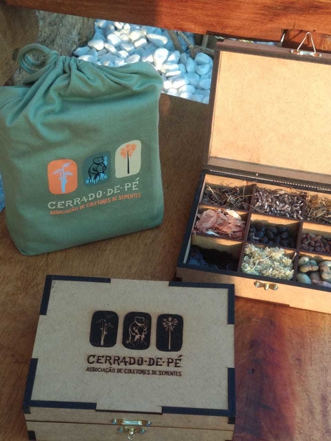 Caixa de Sementes - Cerrado de Pé
