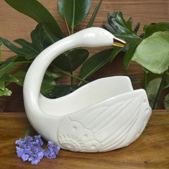 Cisne de oro