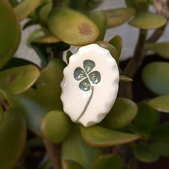 Imagen de Prendedores / Broches de cerámica Silvestre