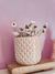 Maceta Mini Piña - comprar online