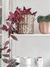 Canasto Plantera - comprar online