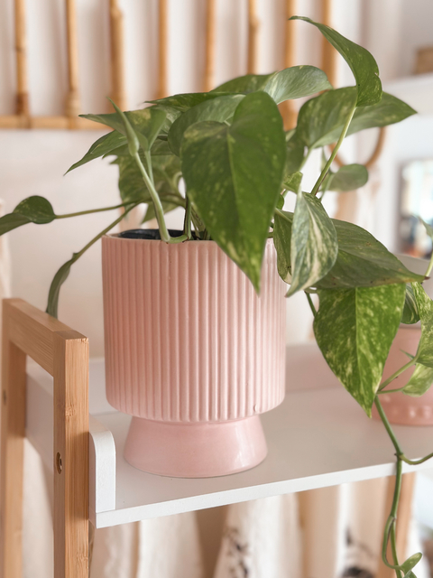 Maceta Olivia - comprar online
