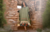 Ponchos