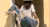 Banner rotativo 1