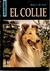 EL COLLIE