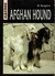 AFGHAN HOUND **PROMO**