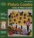 PINTURA COUNTRY