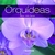 ORQUIDEAS TD