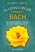 EL LEGADO DEL DR. EDWARD BACH