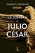 LA SOMBRA DE JULIO CESAR (SERIE DICTADOR 1)