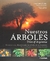 NUESTROS ARBOLES